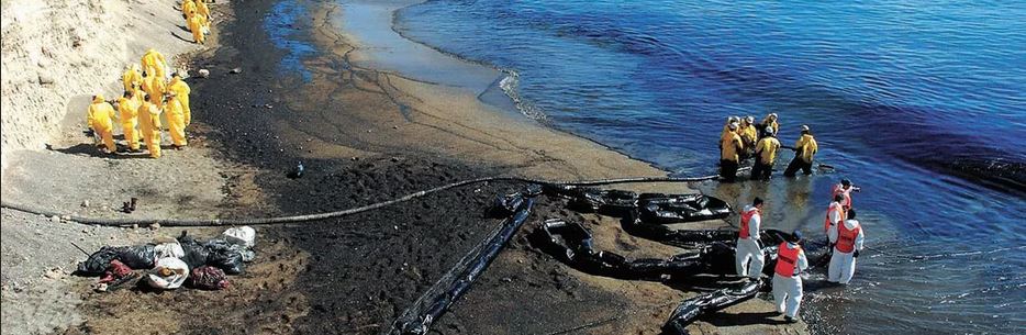 Oleducto en el Golfo San Matías: ¿el fin de la merluza?