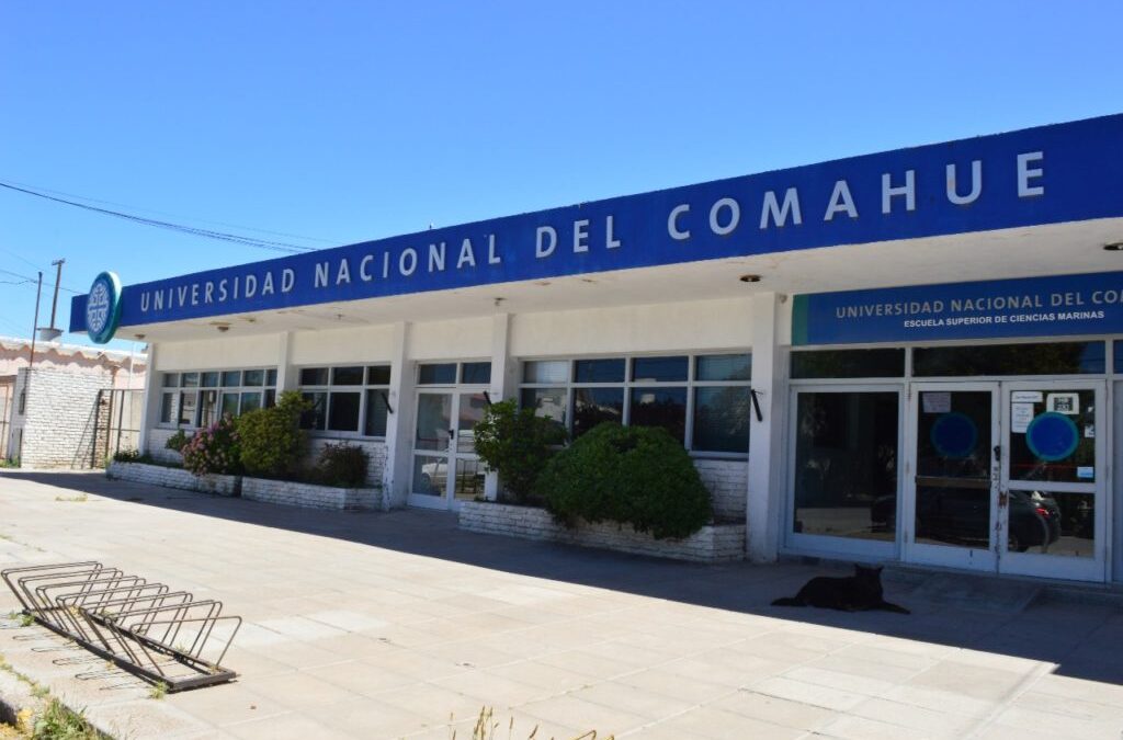 “El gremio docente recibió un apriete del Ministerio de Capital Humano”